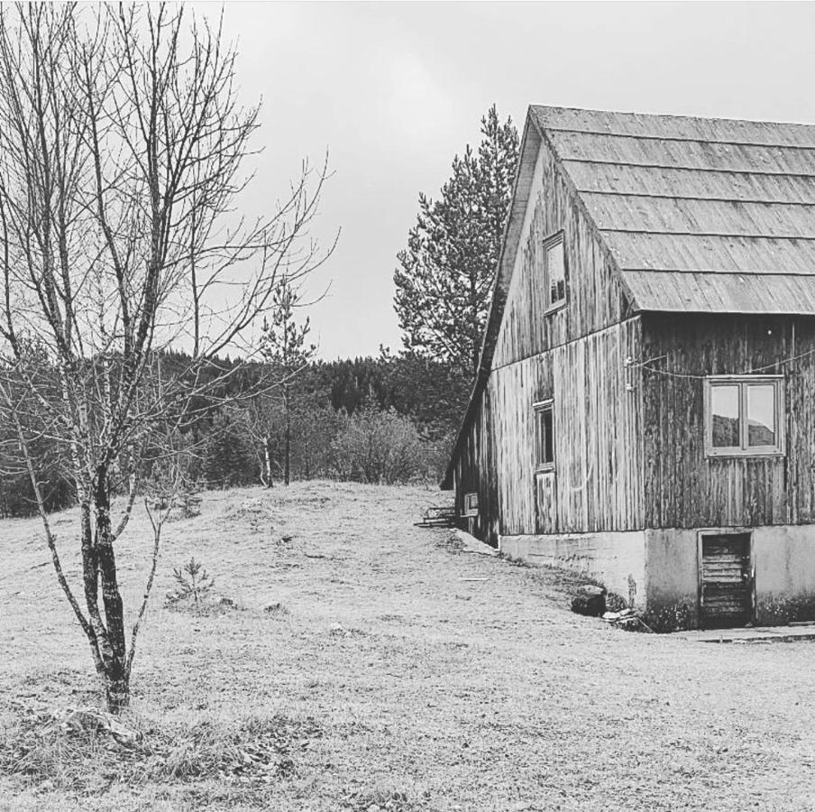 Vukov Konak - Wolf'S Lodge Žabljak Exteriör bild