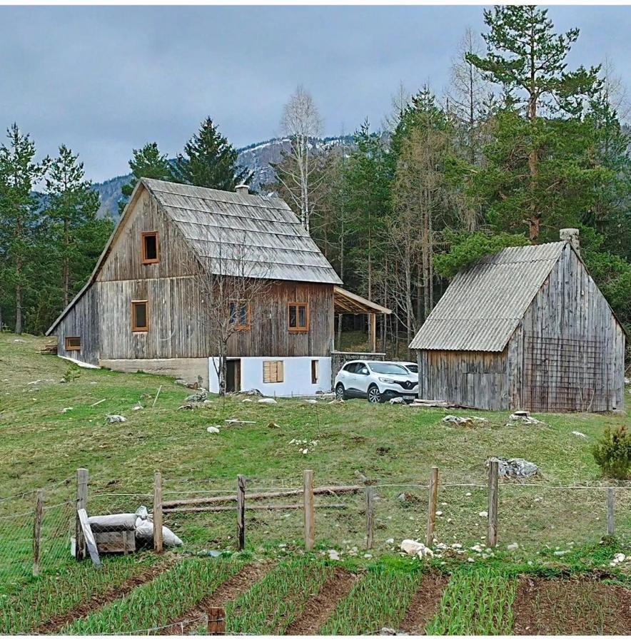 Vukov Konak - Wolf'S Lodge Žabljak Exteriör bild