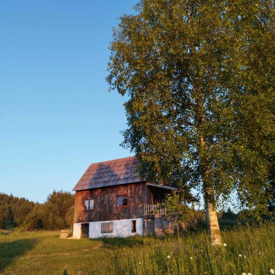 Vukov Konak - Wolf'S Lodge Žabljak Exteriör bild