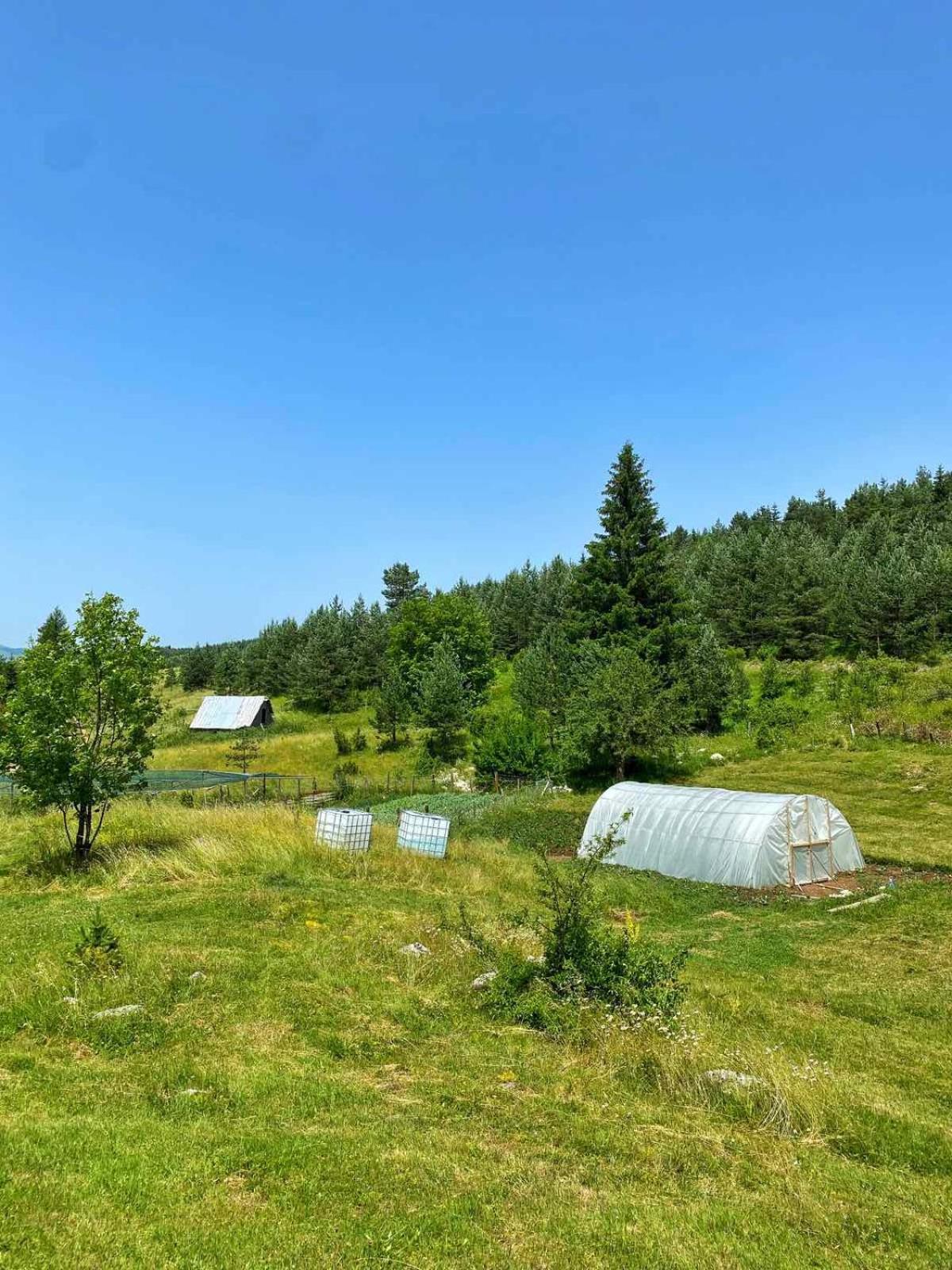 Vukov Konak - Wolf'S Lodge Žabljak Exteriör bild