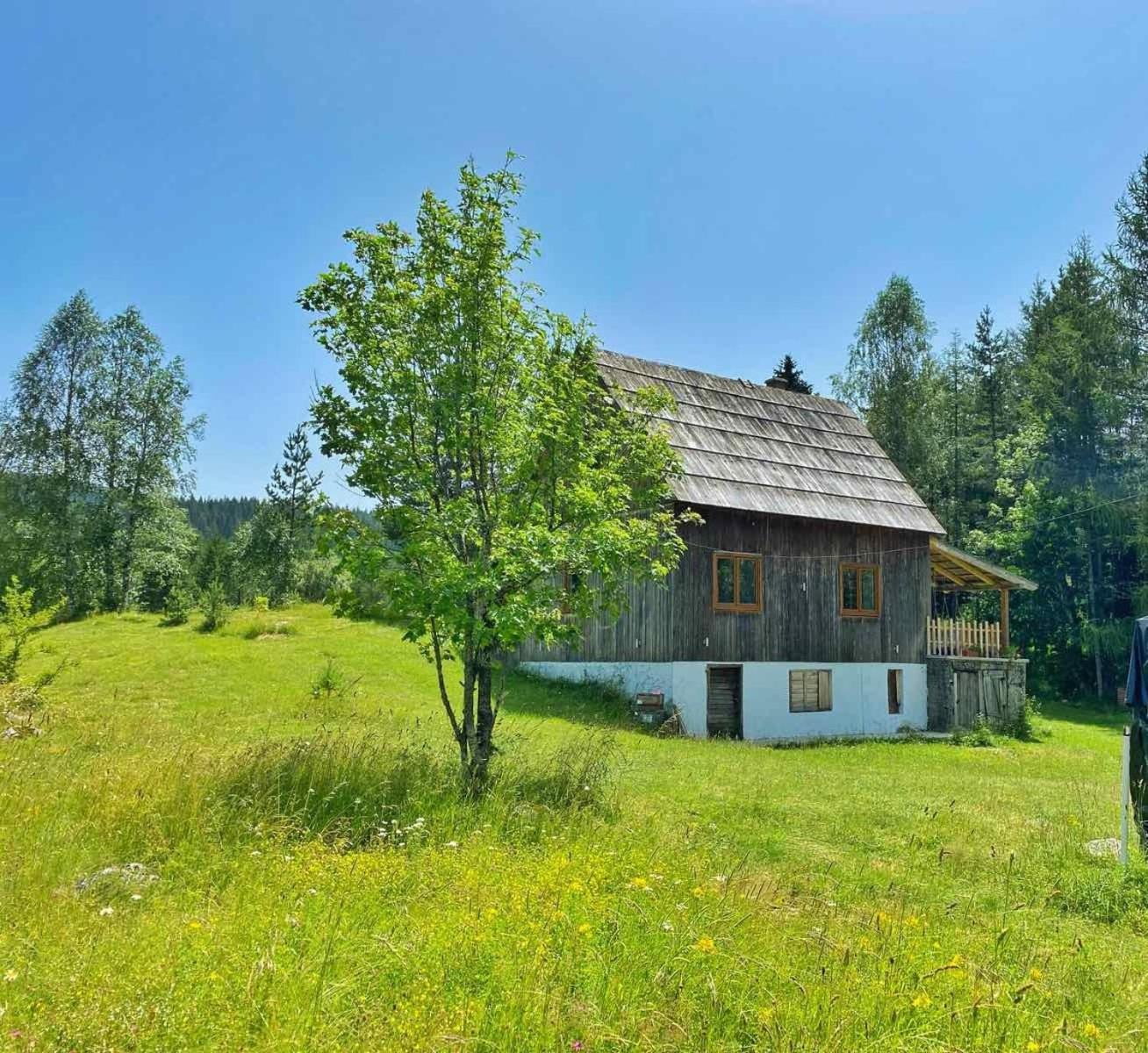 Vukov Konak - Wolf'S Lodge Žabljak Exteriör bild