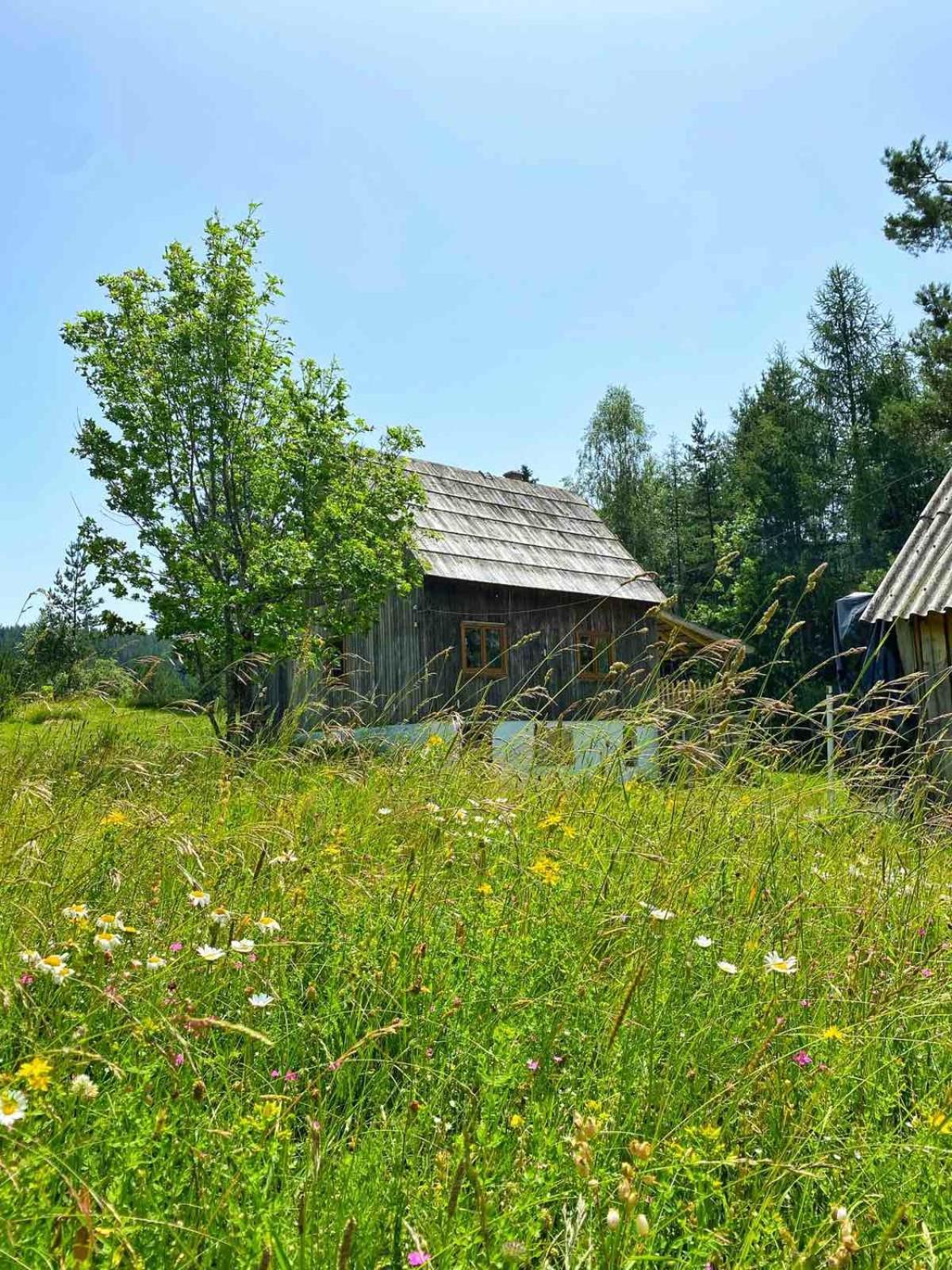 Vukov Konak - Wolf'S Lodge Žabljak Exteriör bild
