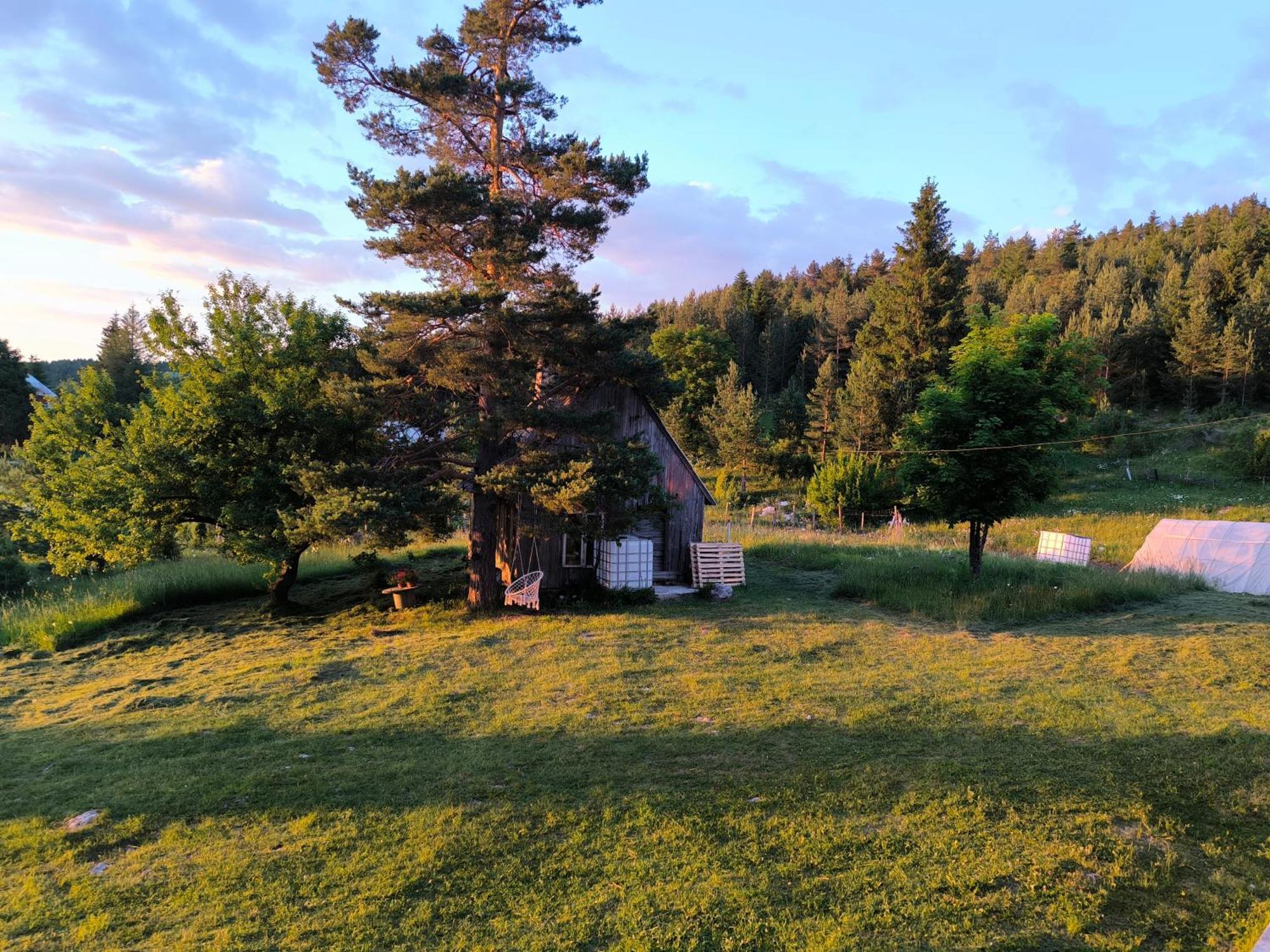 Vukov Konak - Wolf'S Lodge Žabljak Exteriör bild